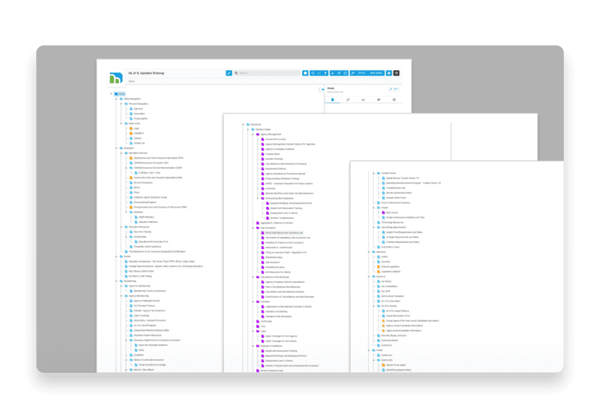 Screenshot of a content management system displaying a detailed sitemap for Big I Illinois. The sitemap includes hierarchical structures with various categories and subcategories, illustrating the organization of website content.