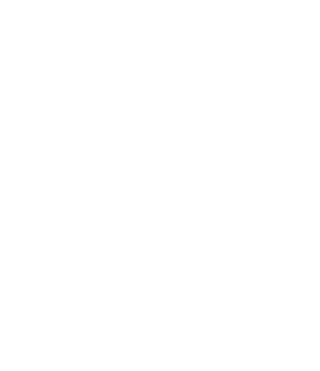 Storyblok logo icon