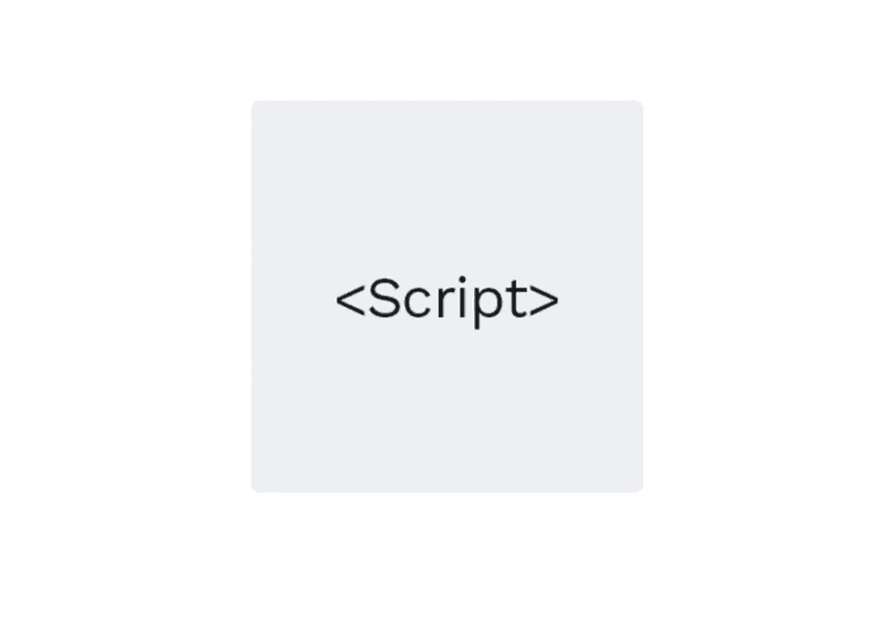 A placeholder widget displaying the word 'script' in a centered box, indicating script embed functionality.